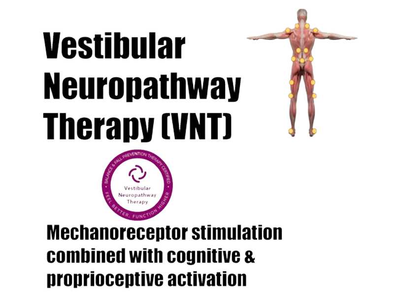 Vestibular Neuropathway Therapy